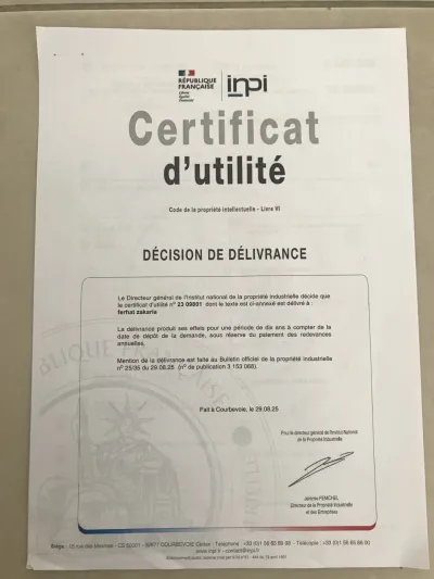 Visual Safety Device for Scooters