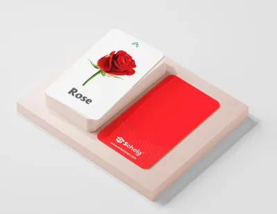  Digital device for education and therapy